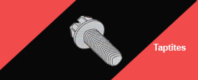 Scroll Image4